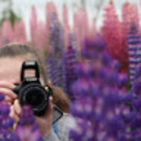 Meet your Posher, Riley - Picture 1 of 1